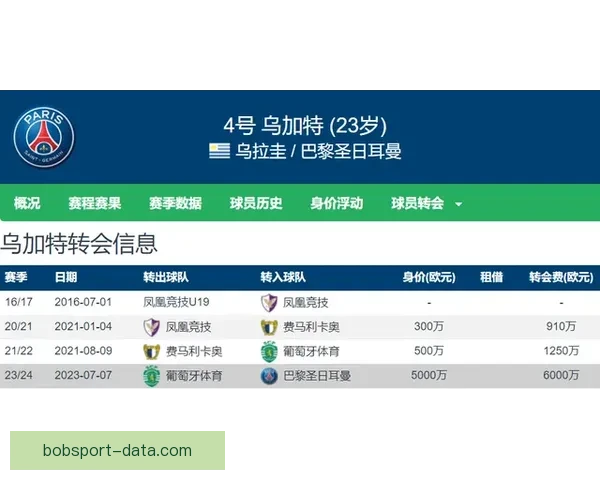BOB体育赔率全面解析助力精准投注决策指南